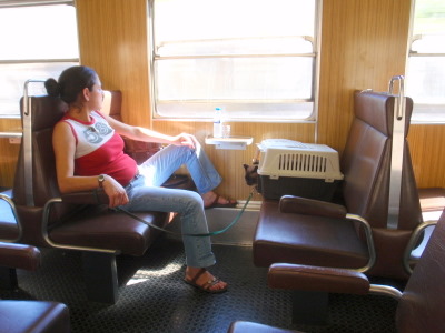 Passenger and her cat.